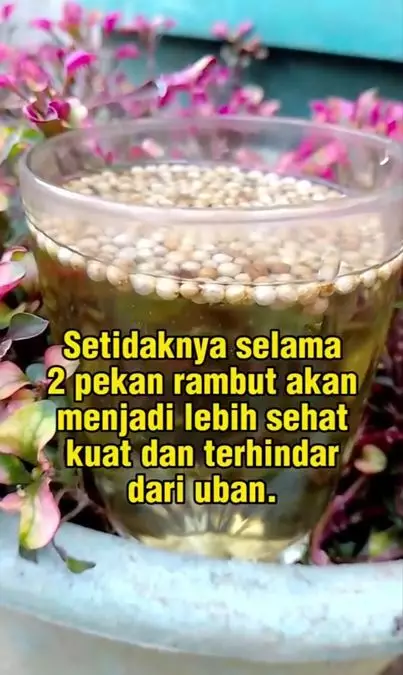 Cara hilangkan uban dan gatal akibat ketombe pakai 1 jenis rempah Berbagai sumber