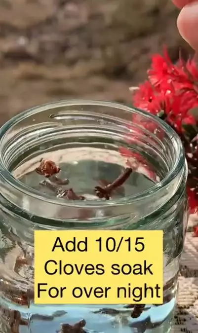 Cara membuat tonic spray untuk atasi rontok pakai 1 jenis rempah Berbagai sumber