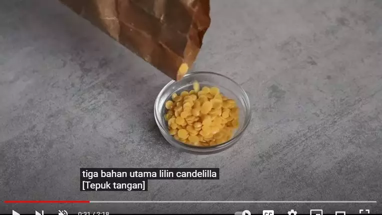 trik atasi bibir kering di bagian sudut pakai 1 jenis tanaman berbagai sumber