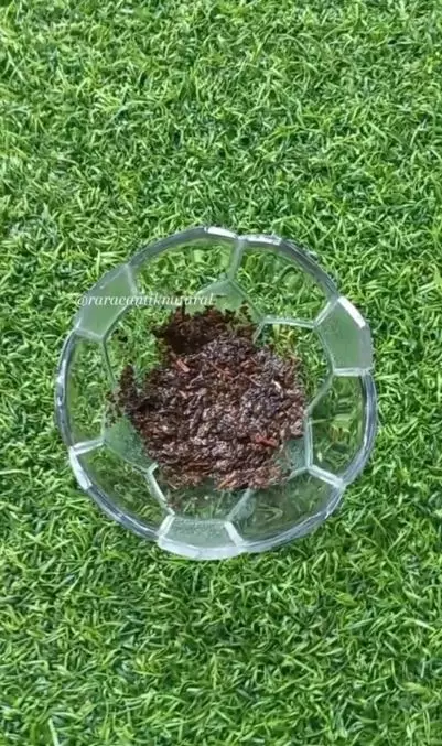 Cara memutihkan mata kaki hitam dan kapalan cuma pakai 1 bahan minuman Berbagai sumber