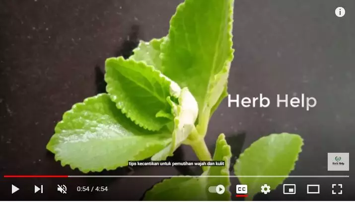  trik pudarkan lingkaran hitam di area mata berbagai sumber