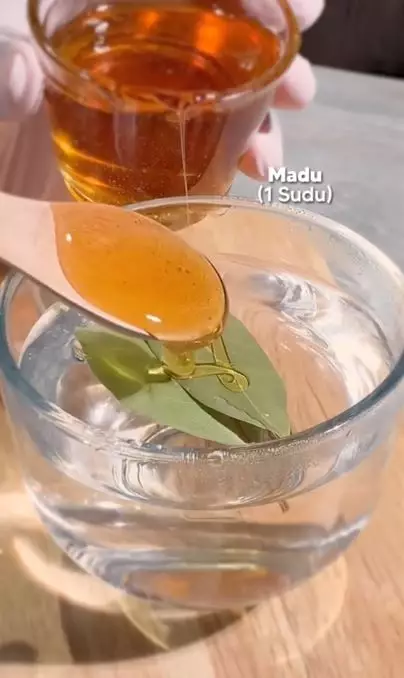 Cara membuat face mist untuk wajah breakout pakai 1 jenis daun Berbagai sumber