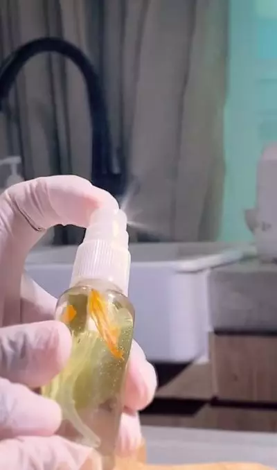 Cara membuat face mist untuk wajah breakout pakai 1 jenis daun Berbagai sumber