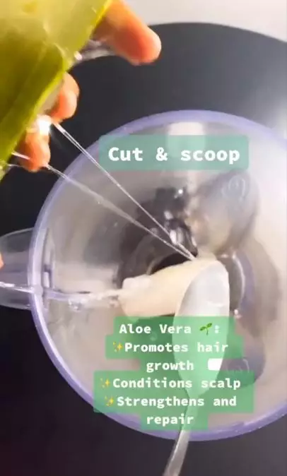 Trik membuat kondisioner tanpa bilas pakai 1 tanaman herbal Berbagai sumber