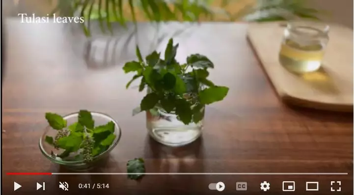 Trik simpel hilangkan ketombe kering pakai 1 jenis tanaman berbagai sumber Trik simpel hilangkan ketombe kering pakai 1 jenis tanaman berbagai sumber