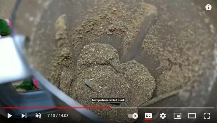 trik hitamkan rambut beruban hanya pakai 1 jenis daun berbagai sumber trik hitamkan rambut beruban hanya pakai 1 jenis daun berbagai sumber