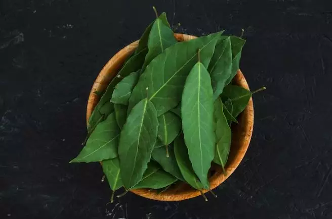 Cara hitamkan uban dan rambut kemerahan akibat sinar matahari pakai 1 jenis daun Berbagai sumber Cara hitamkan uban dan rambut kemerahan akibat sinar matahari pakai 1 jenis daun Berbagai sumber