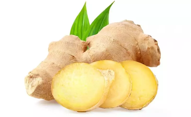 Cara merawat rambut panjang agar lebat dan hitam pakai 1 jenis rempah Berbagai sumber