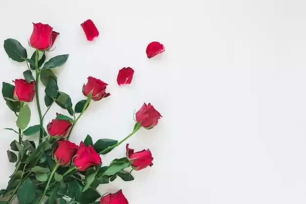 Menolak tua © Instagram