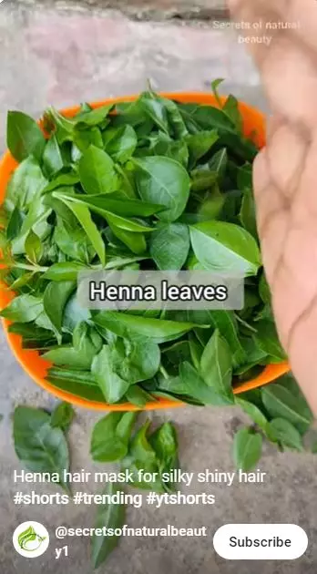 trik atasi rambut kering dan patah  berbagai sumber