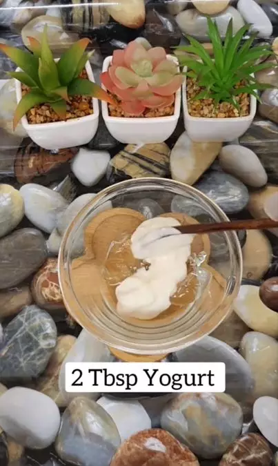 Atasi kusam dan kering rambut panjang pakai 1 olahan susu Berbagai sumber Atasi kusam dan kering rambut panjang pakai 1 olahan susu Berbagai sumber