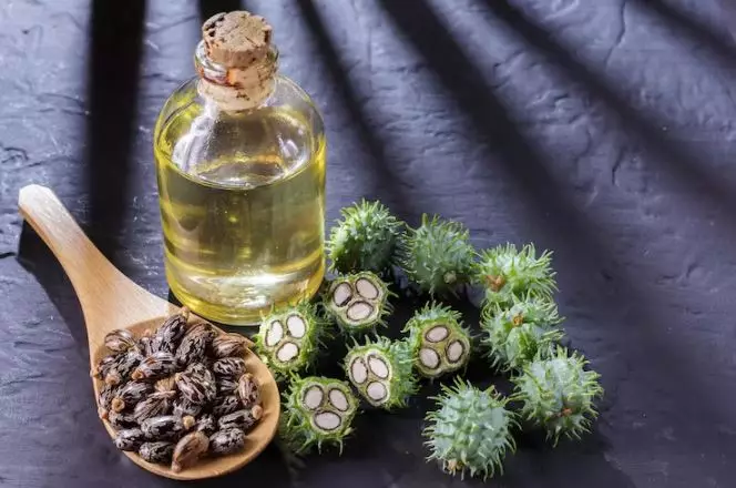 Atasi dark circle dan garis halus area mata pakai 1 minyak Berbagai sumber Atasi dark circle dan garis halus area mata pakai 1 minyak Berbagai sumber