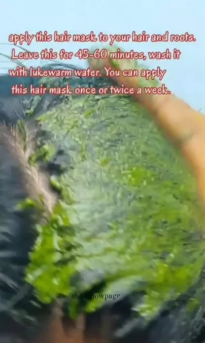 Melembutkan dan menumbuhkan rambut pakai 1 jenis daun Berbagai sumber