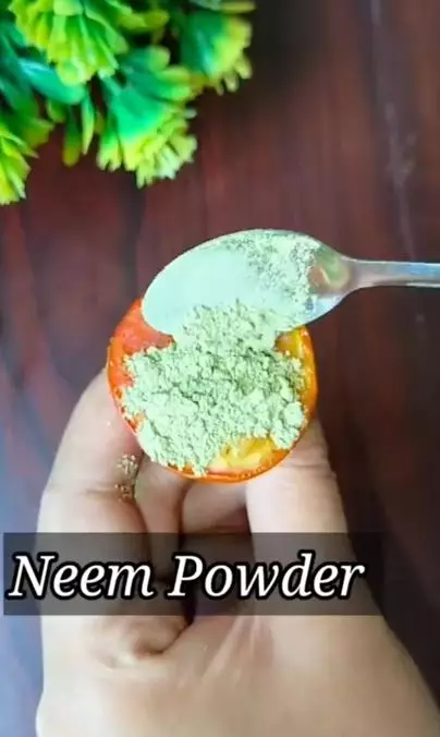 Atasi garis halus dan flek penuaan dengan 1 jenis daun Berbagai sumber