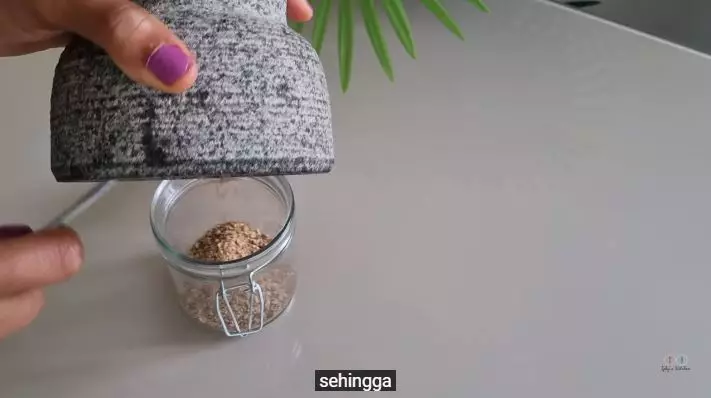 cara mudah atasi ketombe kering pakai kemiri berbagai sumber cara mudah atasi ketombe kering pakai kemiri berbagai sumber