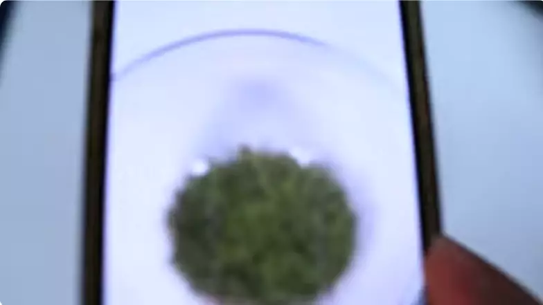 cara mencegah uban di usia muda berbagai sumber cara mencegah uban di usia muda berbagai sumber