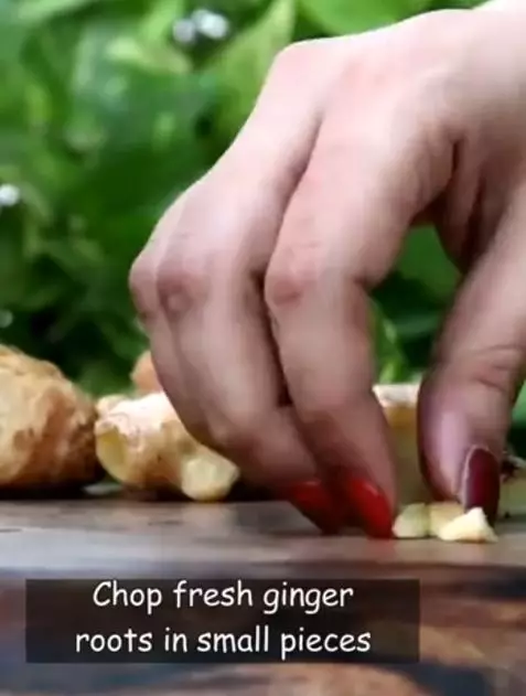 Rambut rontok dan rapuh pakai 1 jenis rempah dapur Berbagai sumber Rambut rontok dan rapuh pakai 1 jenis rempah dapur Berbagai sumber