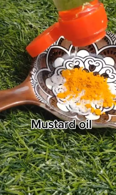 Hilangkan noda dan plak gigi pakai 1 minyak esensial Berbagai sumber Hilangkan noda dan plak gigi pakai 1 minyak esensial Berbagai sumber