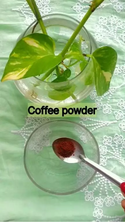 cara atasi tangan belang berbagai sumber cara atasi tangan belang berbagai sumber