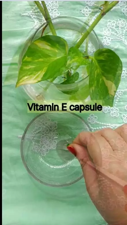 cara atasi tangan belang berbagai sumber cara atasi tangan belang berbagai sumber