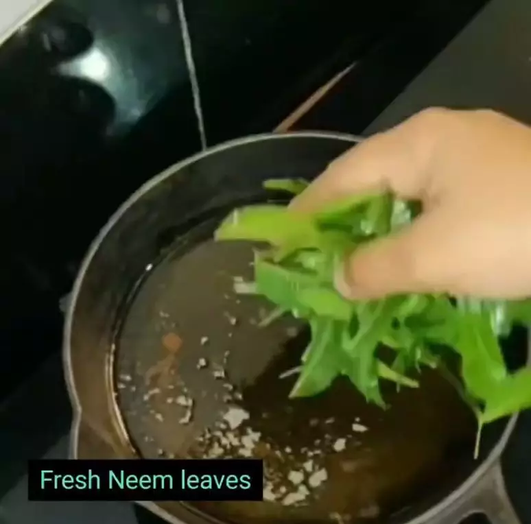 cara menghilangkan ketombe kering berbagai sumber