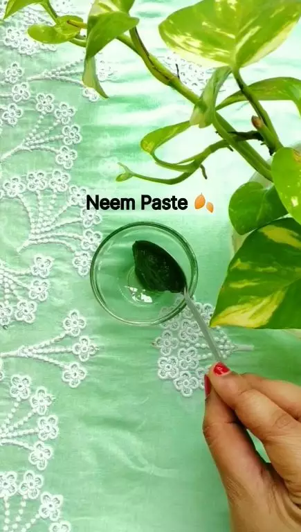 cara bersihkan pori-pori wajah tersumbat berbagai sumber