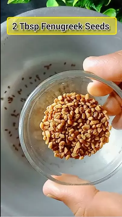 atasi rasa gatal akibat ketombe berbagai sumber atasi rasa gatal akibat ketombe berbagai sumber