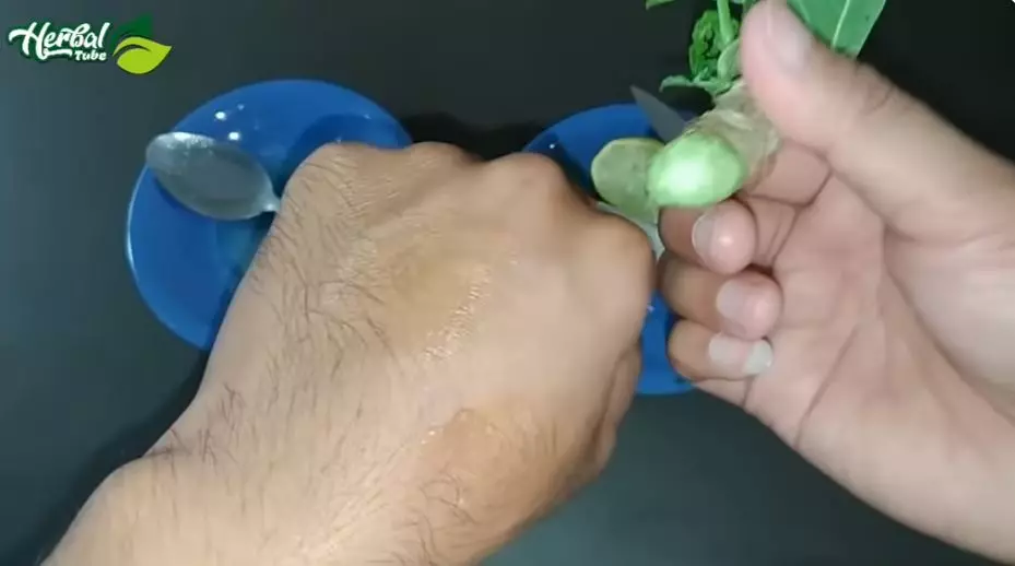 cara hilangkan mata ikan sampai ke akarnya berbagai sumber cara hilangkan mata ikan sampai ke akarnya berbagai sumber