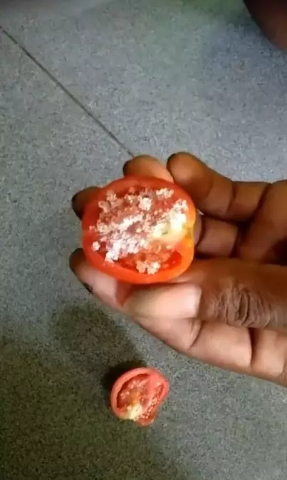 Hilangkan komedo dan jerawat pakai 1 jenis buah-buahan Berbagai sumber