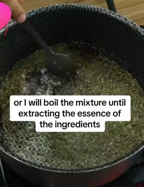 Cegah tumbuhnya rambut beruban dengan 2 jenis daun Berbagai sumber