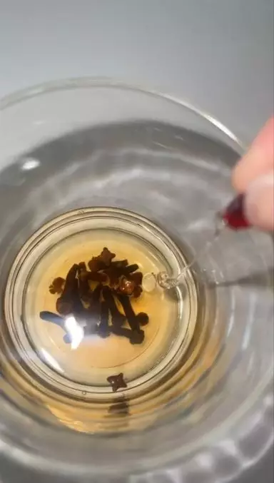 Bikin face mist antiaging dengan 1 jenis rempah Berbagai sumber