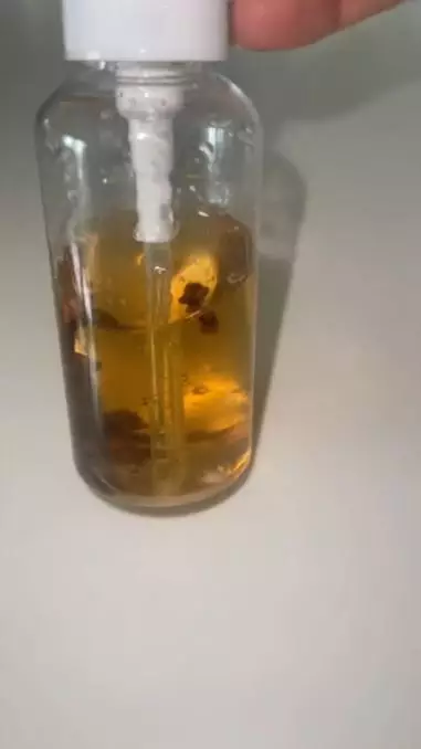 Bikin face mist antiaging dengan 1 jenis rempah Berbagai sumber