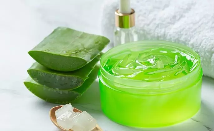 Samarkan ukuran pori wajah pakai 1 tumbuhan herbal Berbagai sumber