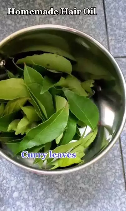 Suburkan rambut mudah rontok pakai 1 jenis daun Berbagai sumber Suburkan rambut mudah rontok pakai 1 jenis daun Berbagai sumber