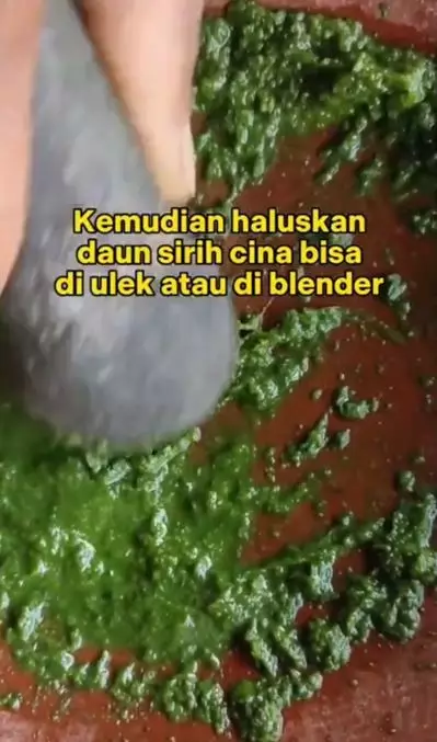 Cara kencangkan wajah mengendur pakai 1 jenis daun Berbagai sumber