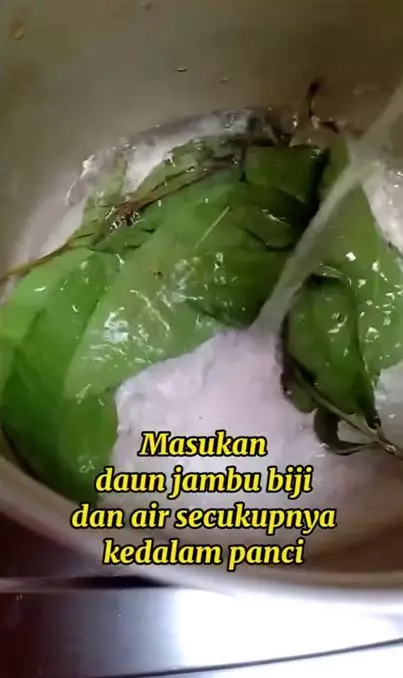 Cegah uban agar tak tumbuh lagi pakai 1 jenis daun Berbagai sumber Cegah uban agar tak tumbuh lagi pakai 1 jenis daun Berbagai sumber