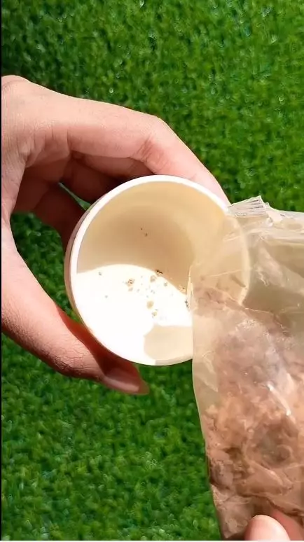 trik wanita India atasi kulit kusam berbagai sumber