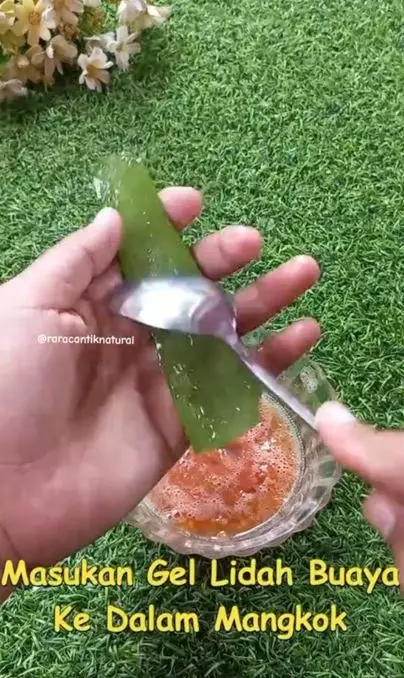 Samarkan selulit pada paha dengan 1 tanaman herbal Berbagai sumber Samarkan selulit pada paha dengan 1 tanaman herbal Berbagai sumber