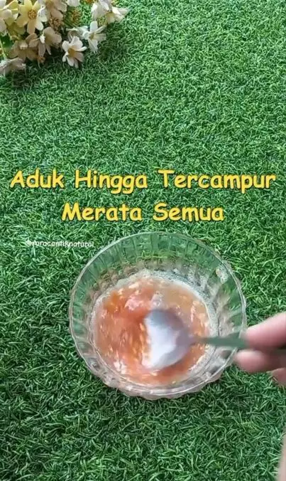 Samarkan selulit pada paha dengan 1 tanaman herbal Berbagai sumber Samarkan selulit pada paha dengan 1 tanaman herbal Berbagai sumber