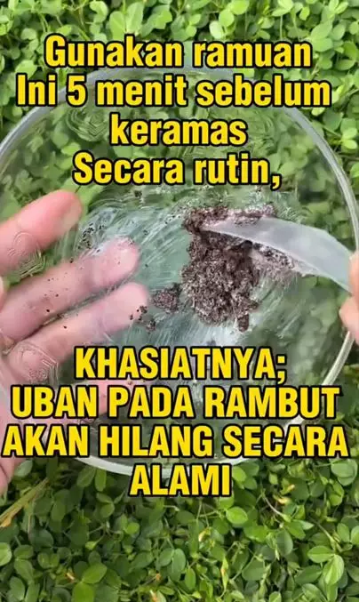 Atasi tumbuhnya uban berlebih cuma pakai 1 bahan minuman Berbagai sumber