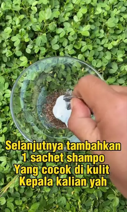 Atasi tumbuhnya uban berlebih cuma pakai 1 bahan minuman Berbagai sumber