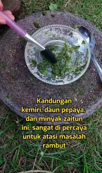 Cegah munculnya uban prematur pakai tambahan 1 jenis daun Berbagai sumber