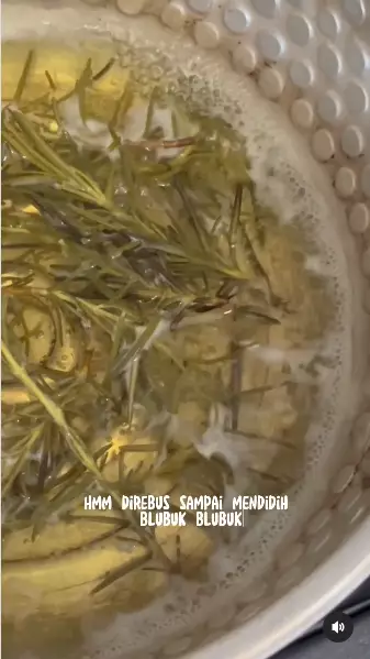 atasi rambut rontok pakai rosemary berbagai sumber