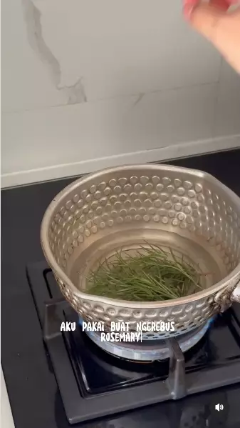 atasi rambut rontok pakai rosemary berbagai sumber