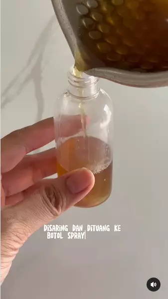 atasi rambut rontok pakai rosemary berbagai sumber