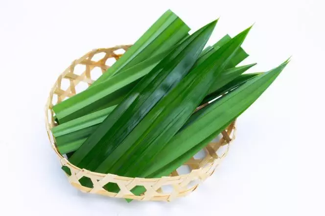 Hilangkan komedo hitam pada hidung pakai 1 jenis daun penyedap Berbagai sumber