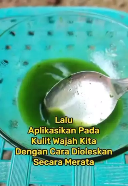 Hilangkan komedo hitam pada hidung pakai 1 jenis daun penyedap Berbagai sumber