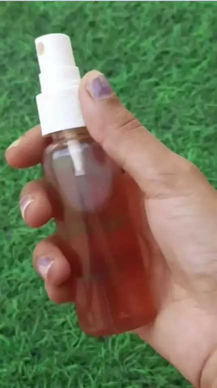 menghilangkan ketombe berbagai sumber menghilangkan ketombe berbagai sumber