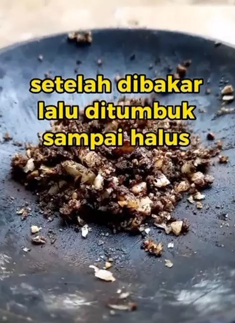 Mengurangi uban dan rontok pakai 1 rempah Berbagai sumber