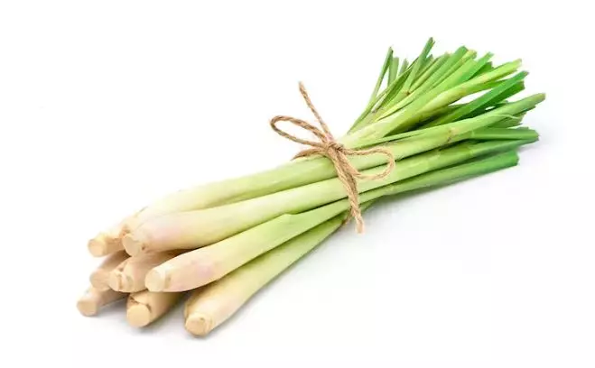 Pudarkan flek penuaan pakai 1 jenis tanaman penyedap Berbagai sumber